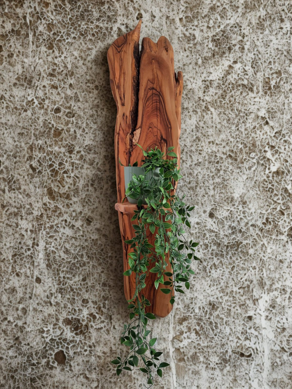 Stinkhout wall art with shelf