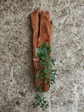 Stinkhout wall art with shelf