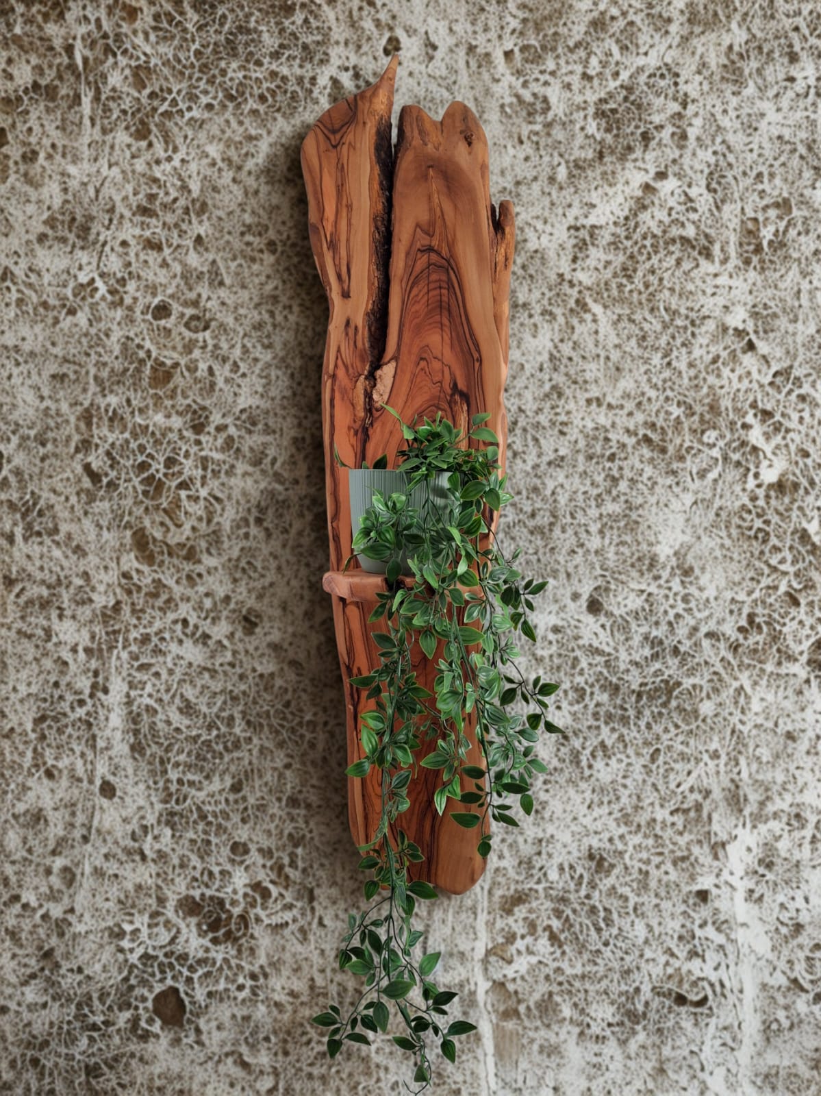 Stinkhout wall art with shelf