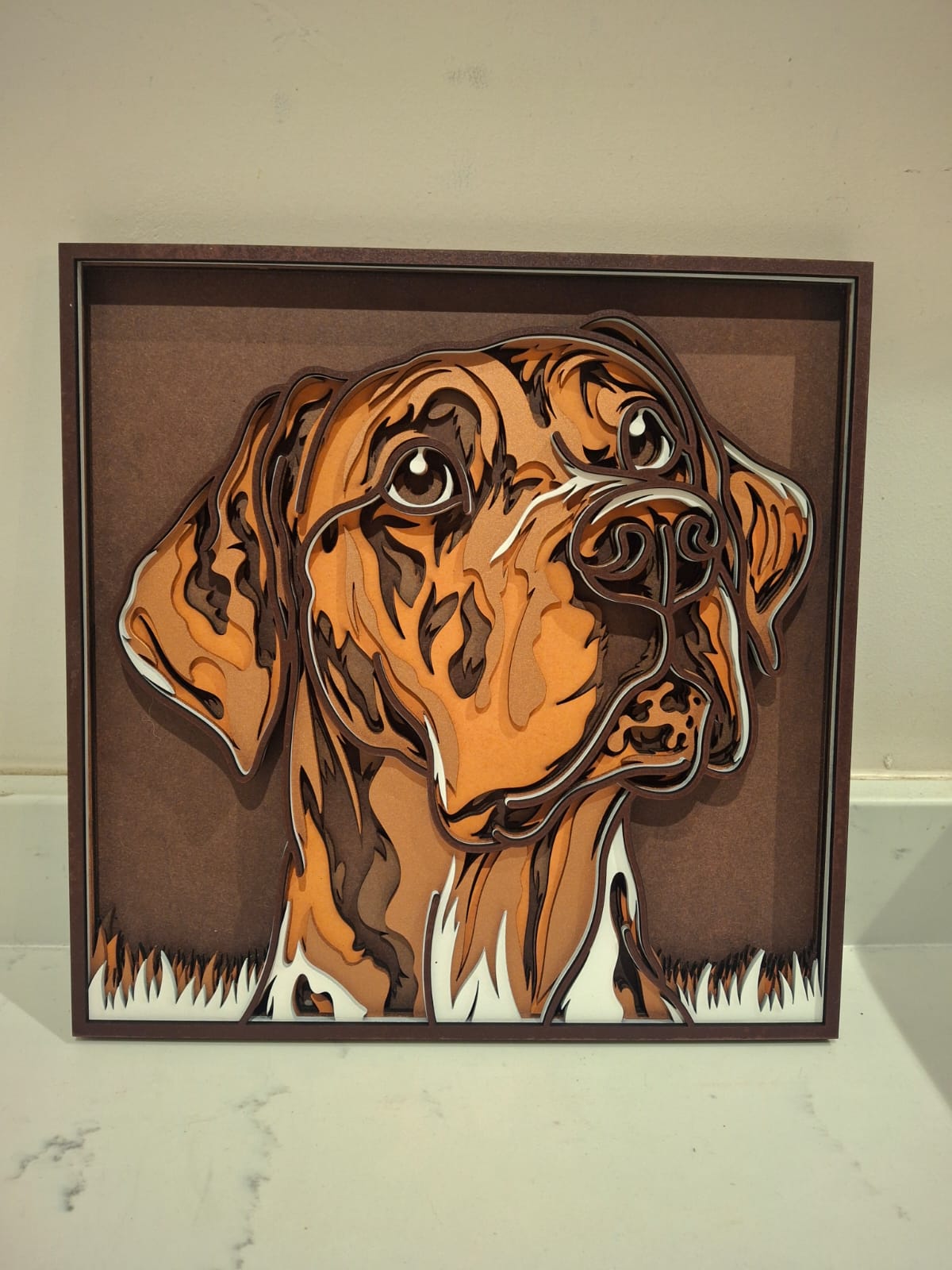 Dog Portrait
