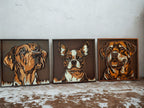 Dog Portrait