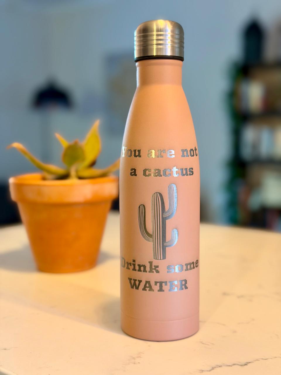 Insulated water bottle with quote (Cactus)